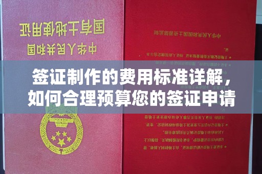 万载签证制作的费用标准详解，如何合理预算您的签证申请成本