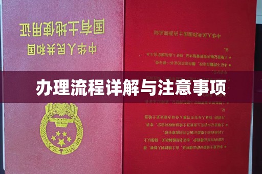 万载办理流程详解与注意事项